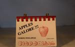 Apples Galore Mini Cookbook