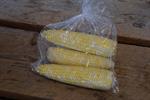Bicolor Sweet Corn (Pick-Up ONLY)