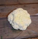 Cauliflower (Pick-Up ONLY)