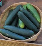 Cucumbers - By the LB (Pick-Up ONLY)