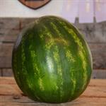 Seedless Watermelon (Pick-Up ONLY)