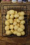 White Potatoes - By the LB. (Pick-Up ONLY)