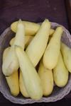 Yellow Squash - By the LB (Pick-Up ONLY)