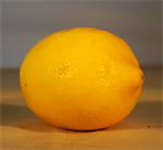 Lemons - Each (Pick-Up ONLY)